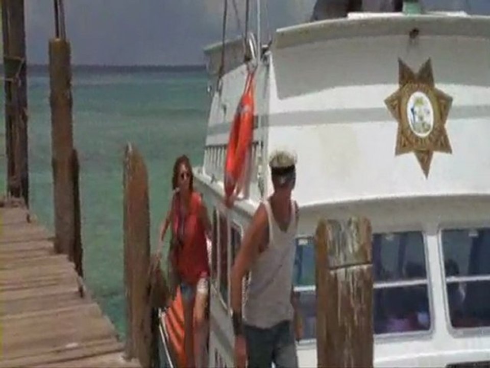 Flipper 3/5