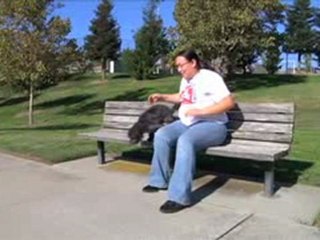 My Dog Has Diarrhea But Then I Found The BARF Diet