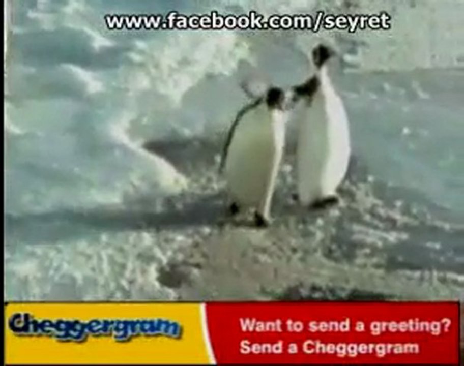 Facebook - Cherkes Darıcı_2