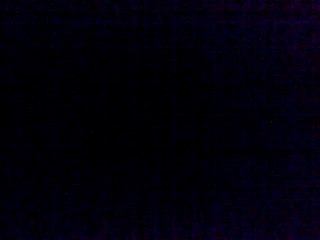 Raphael et Salvator beuf maison726