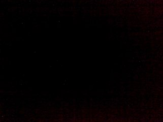 RAPHAEL ET SALVATOR BEUF MAISON 727