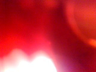 Raphael et salvator beuf maison 728