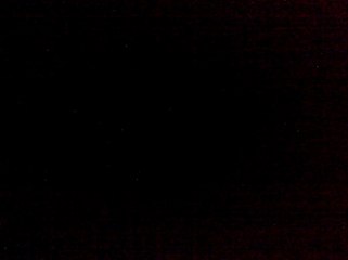 RAPHAEL ET SALVATOR BEUF MAISON 731