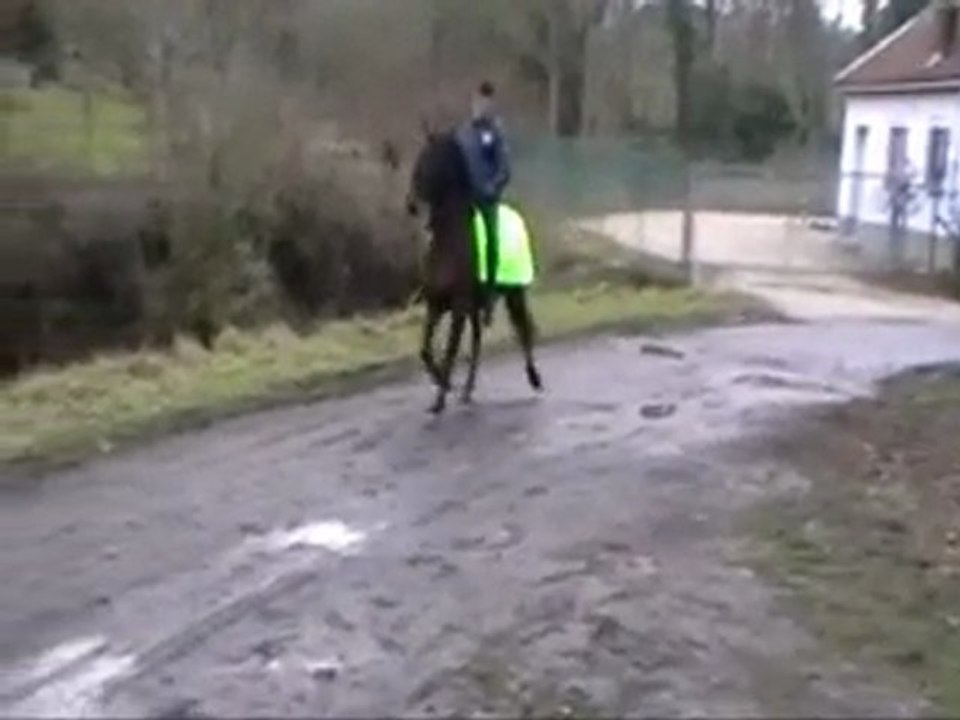 camaron