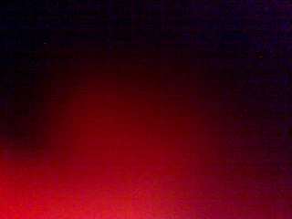 RAPHAEL ET SALVATOR BEUF MAISON 733