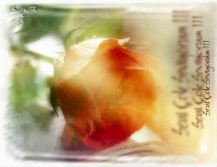 Alpay Yine Yağmur Yağıyor AS