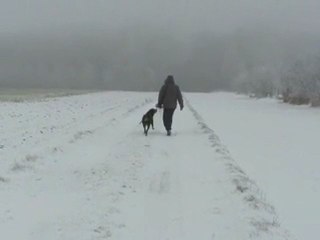 nina femelle rott adoptée à la spa de Douai