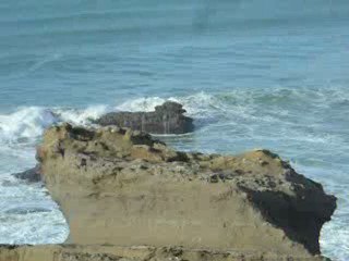 DSCN9952