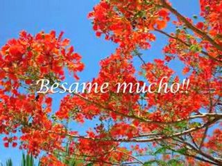 ♥ Mexico besame mucho Evento ♥ Kiss me please ♥ 2