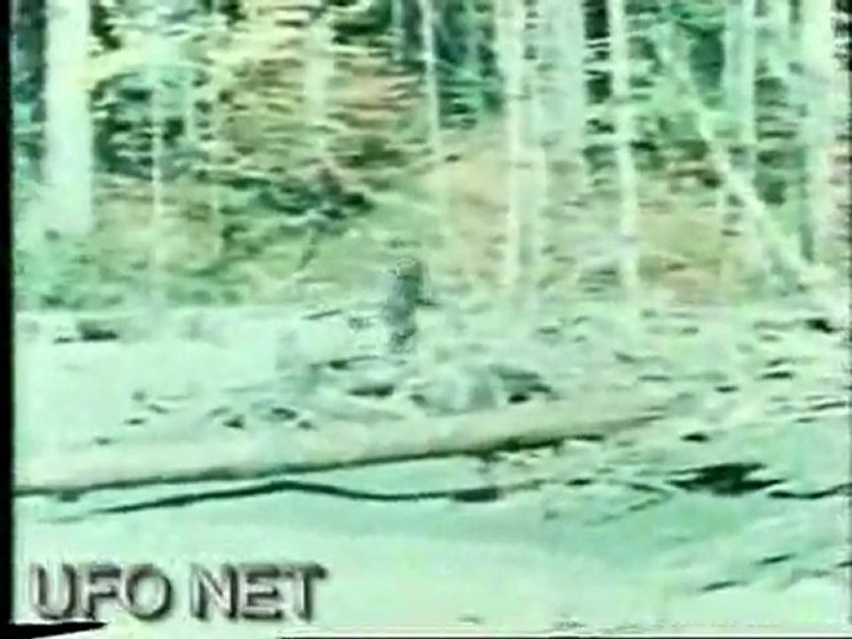 Video ,Bigfoot (koca ayak)
