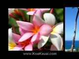 Kauai Vacation Condo Rentals