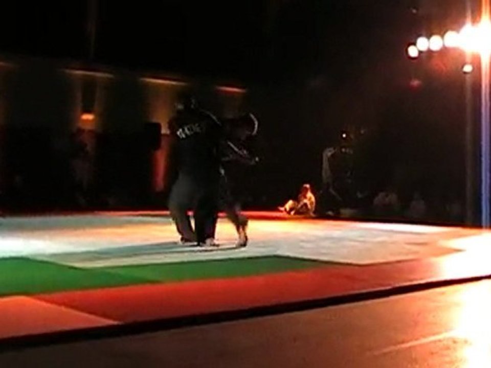 Démonstration du Yi King Do à Jouy-le-Moutier