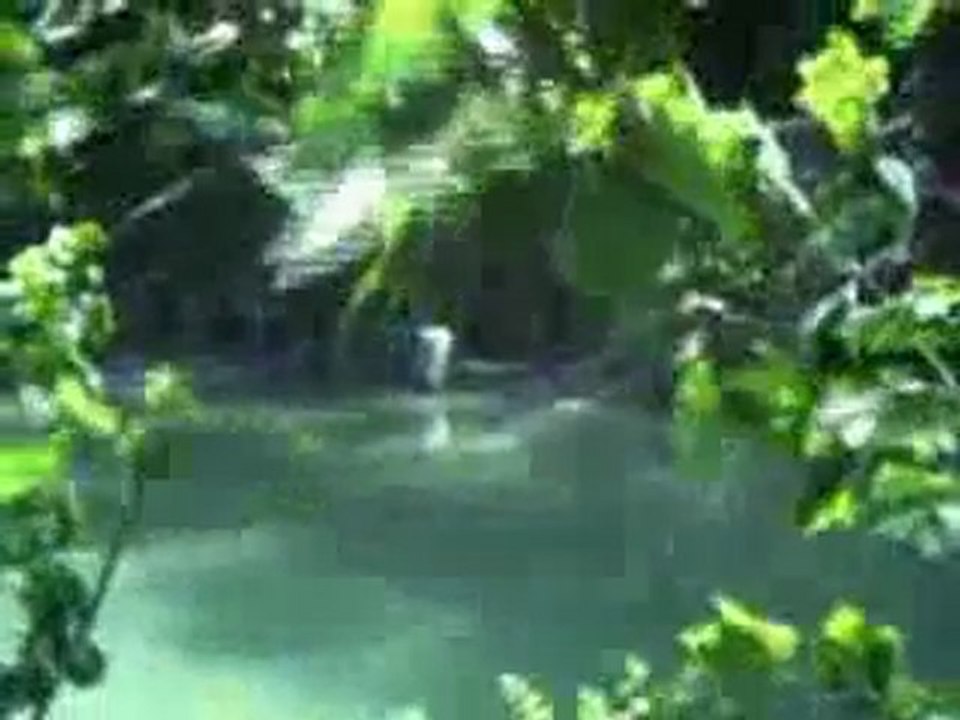 ARCHIVES Lattes et Michel Vaillat 1978