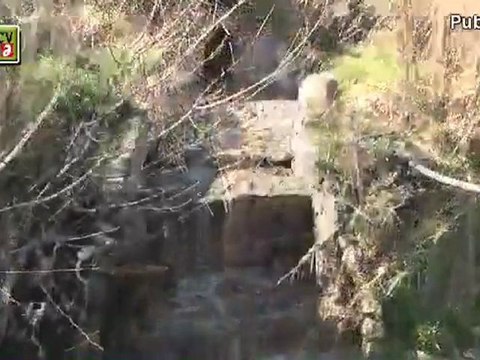 La veu dels Partits, ICV-EUA, video mes de Febrer 2010