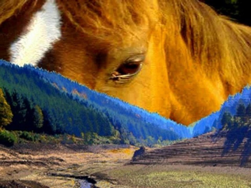 chevaux ou dinosaures