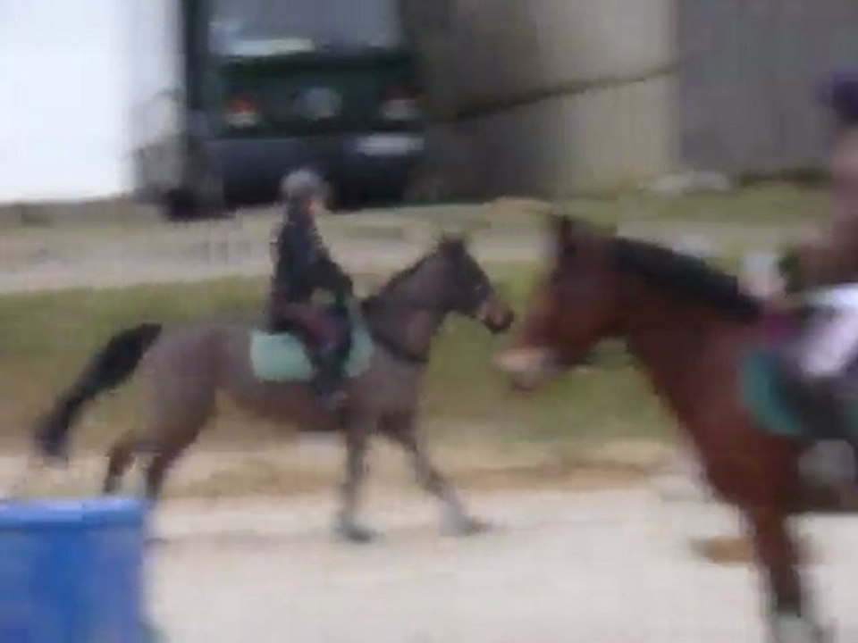 Pauline & Quadrille o6.o2.2o1o