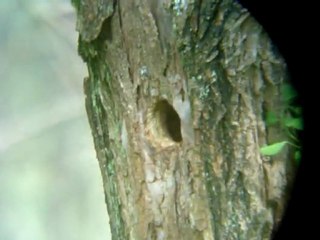 nettoyage de printemps