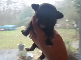 7 janvier chocos 001