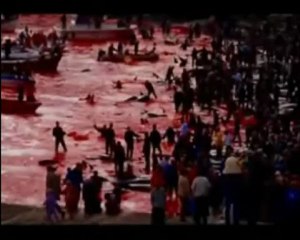 Niebieskie Lzy __ Larmes Bleues ...