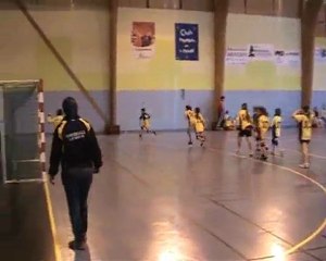 handball Levier - 12 f fervrier 2010