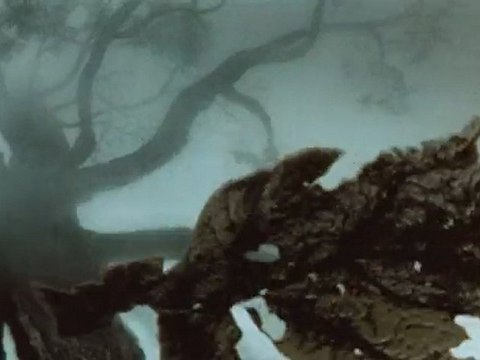 Ёжик в тумане