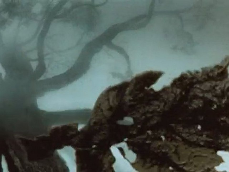 Ёжик в тумане