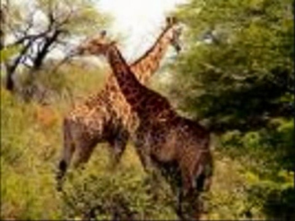 Notre terre