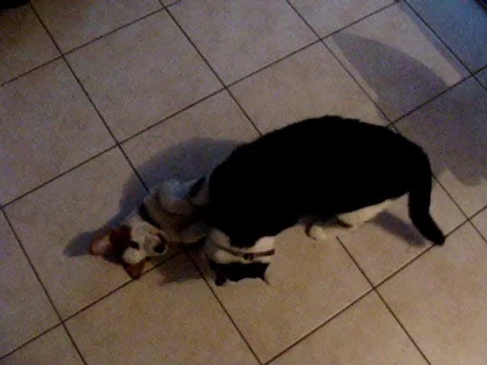 Cassis et Ethane (2010-02-06)