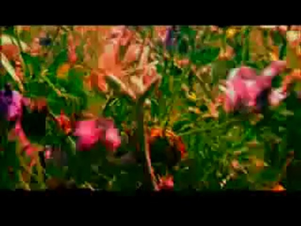 Dzovinar Boghossian - Nounoufar