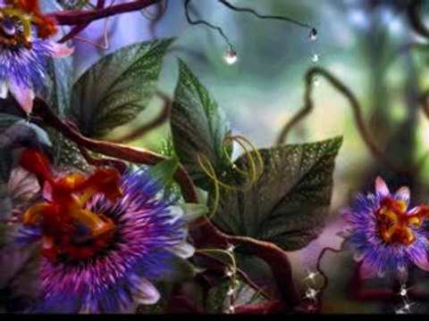 ORACIONES PARA PROTECCION (4 de 5, Padre Salvador Herrera)