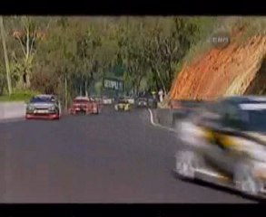 Voiture vs kangourou