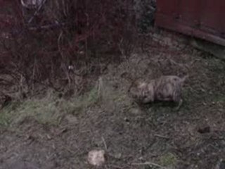 enzo evi evita de la roue solaire2