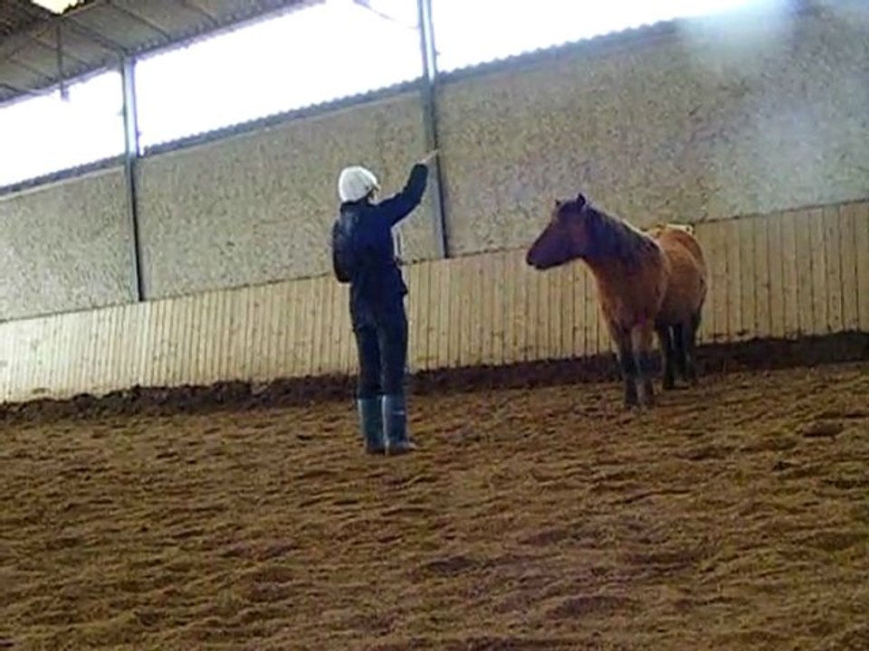 Travail en liberté. fevrier 2010