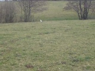 Emir des Tucs Landais 3