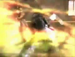 Ninja Gaiden-Indestructible