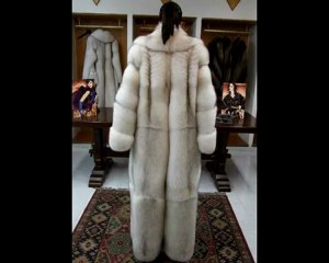 VOLPE DELLA GROENLANDIA.avi