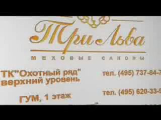 САЛОН МЕХА ТРИ ЛЬВА реж. Андрей Карпов