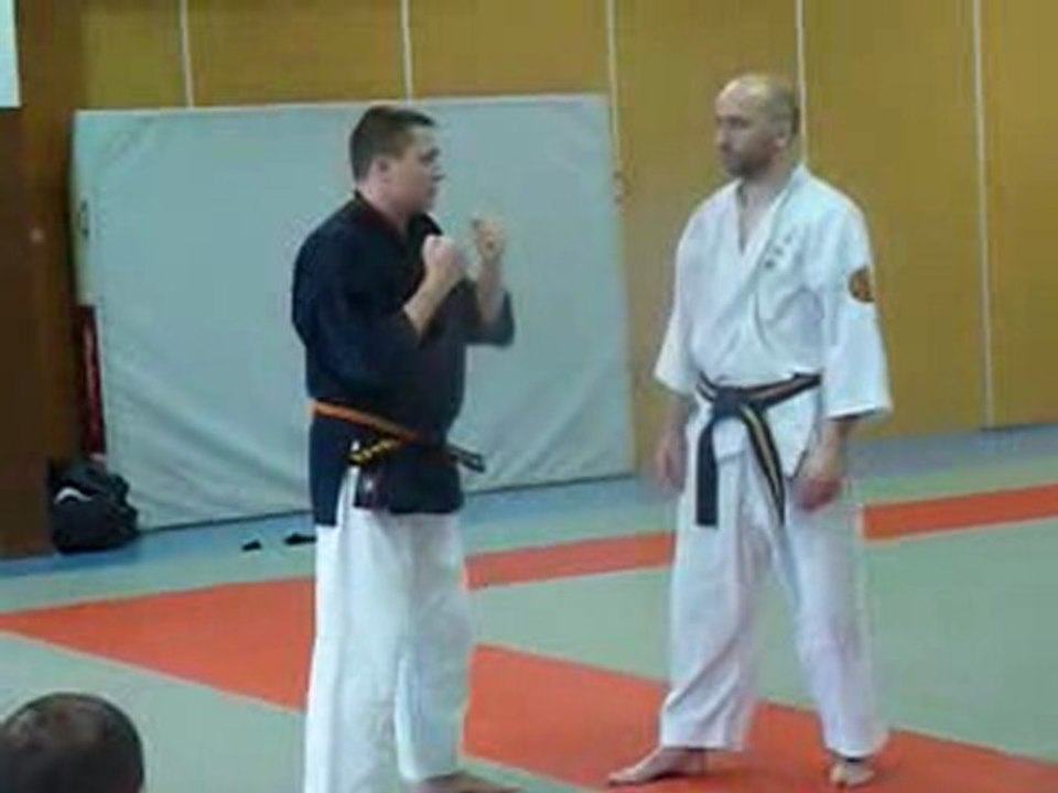 Nihon tai Jitsu - Philippe Galais - Metz - janvier 2010