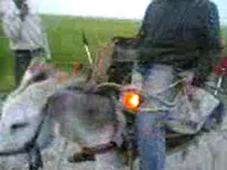 Haha Mémorable u__v Nouvelle voiture Algerienne TAH SAH : D