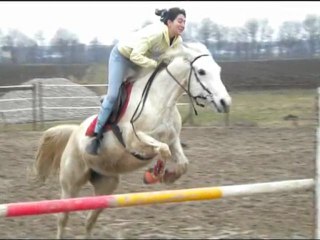 Petit Pur Sang Blanc .