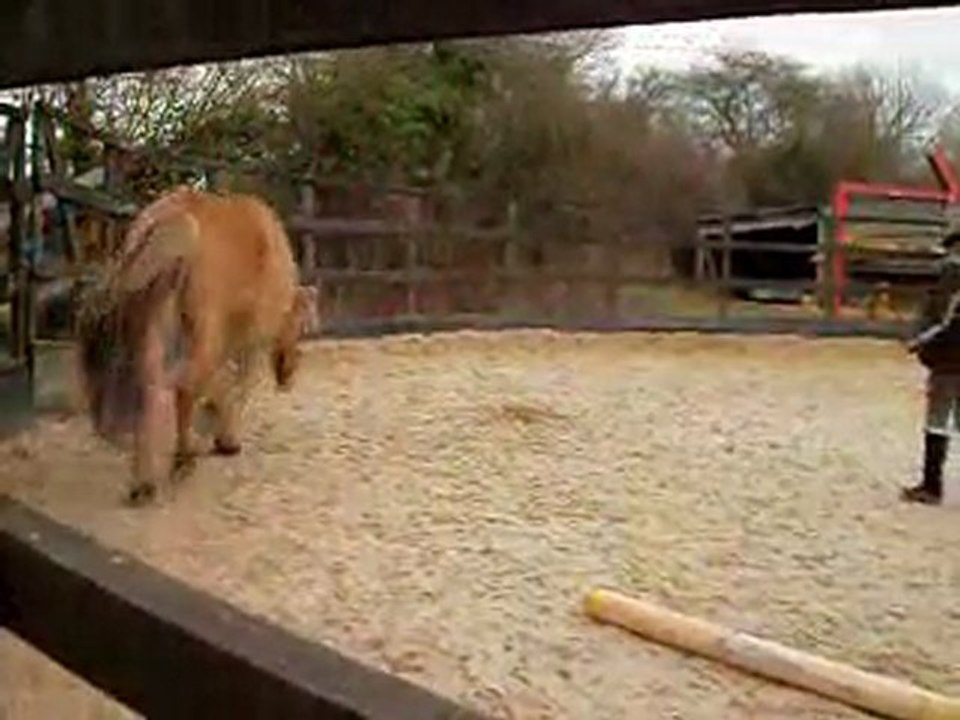 Pilou galop rond de longe