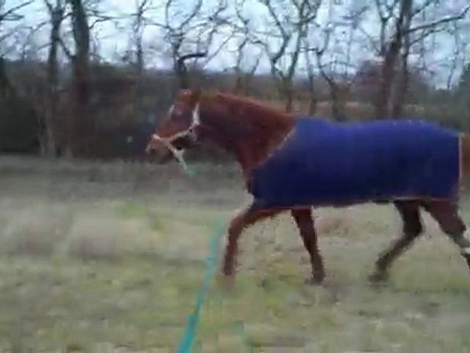 Manix ! 7 février 2010.