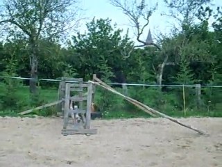 si tsam apprend a sauter