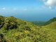 Randonnée vers le sommet de la Montagne Pelée - Martinique