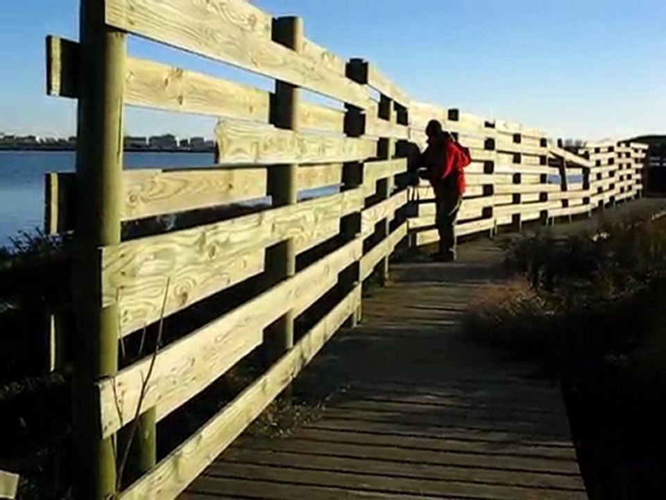 la photo pour le blog