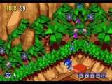 Sonic 3D Flickies Island sur Megadrive test par xghosts