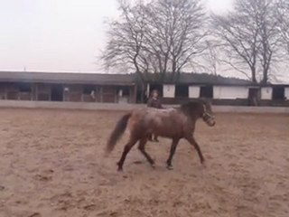 Sucette - Cercle en liberté (1)