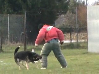 Concours Boomer à Echillais