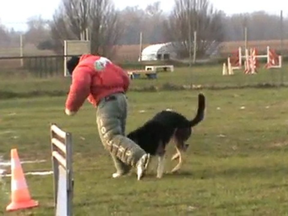 Concours Boomer à Echillais