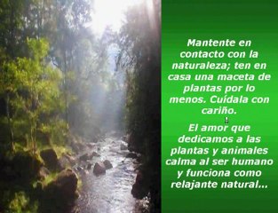 Video 108 EL SECRETO en youtube, pelicula, video, dvd, tv